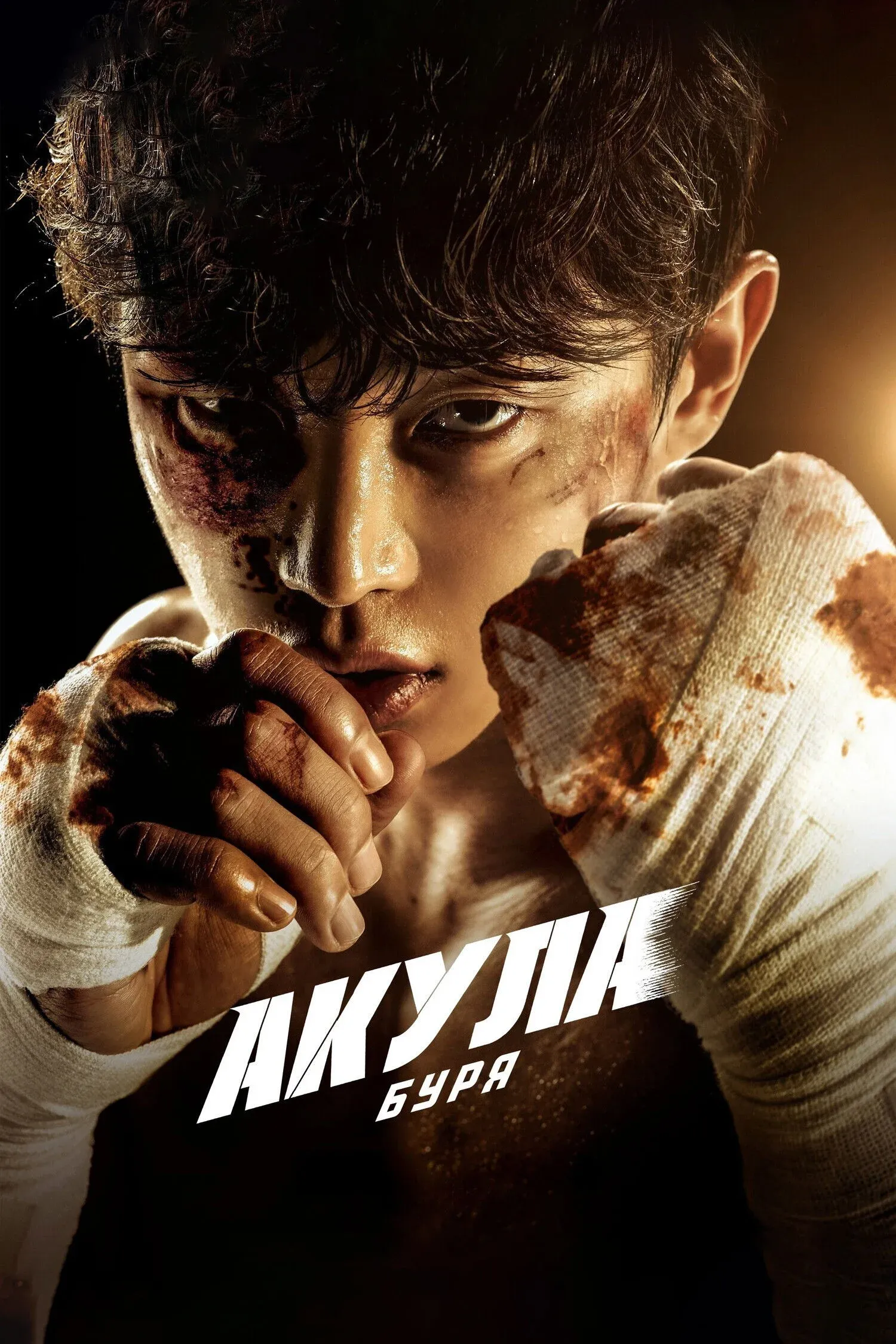 Постер фильма Акула: Буря