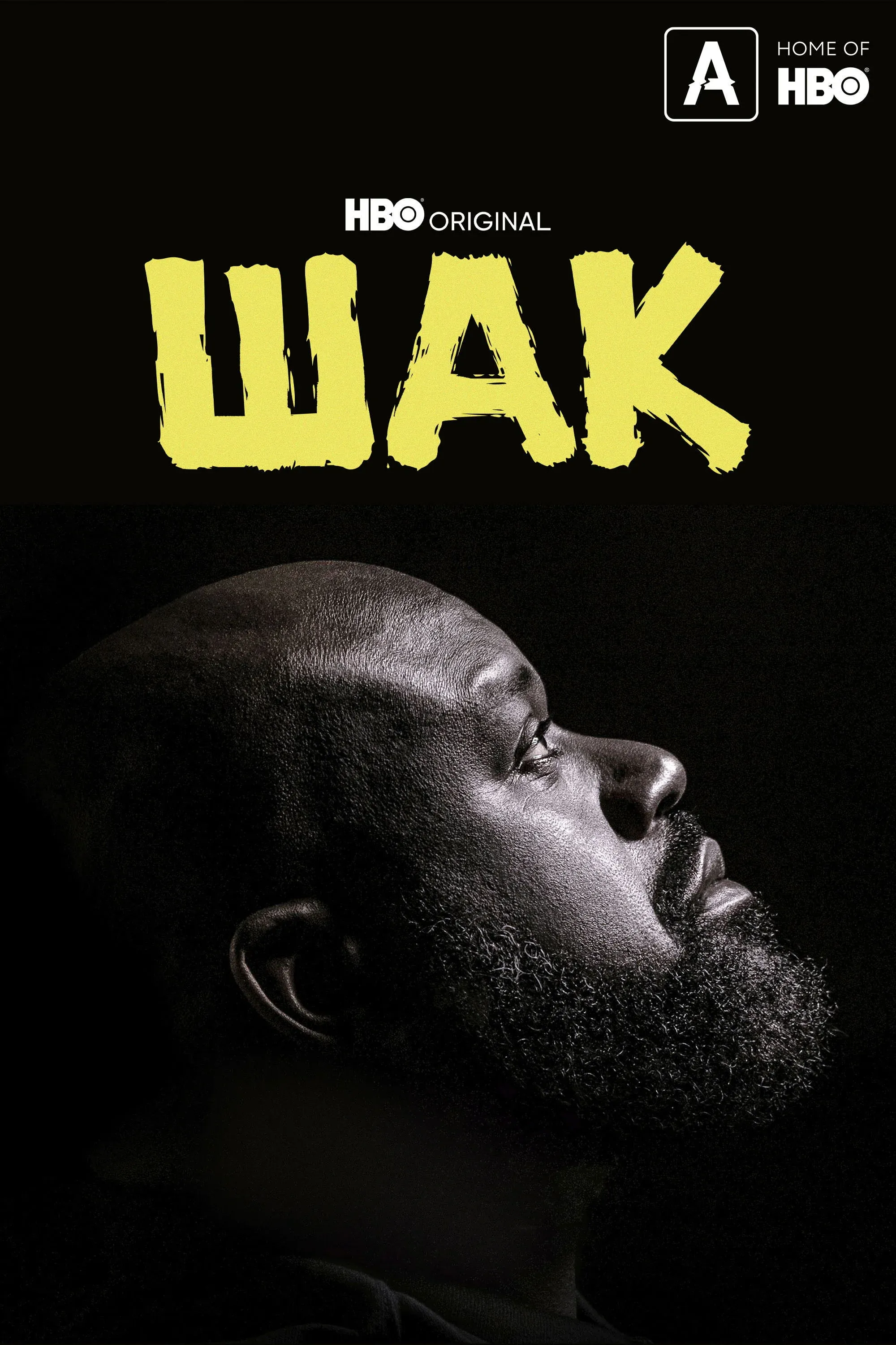 Постер фильма Шак