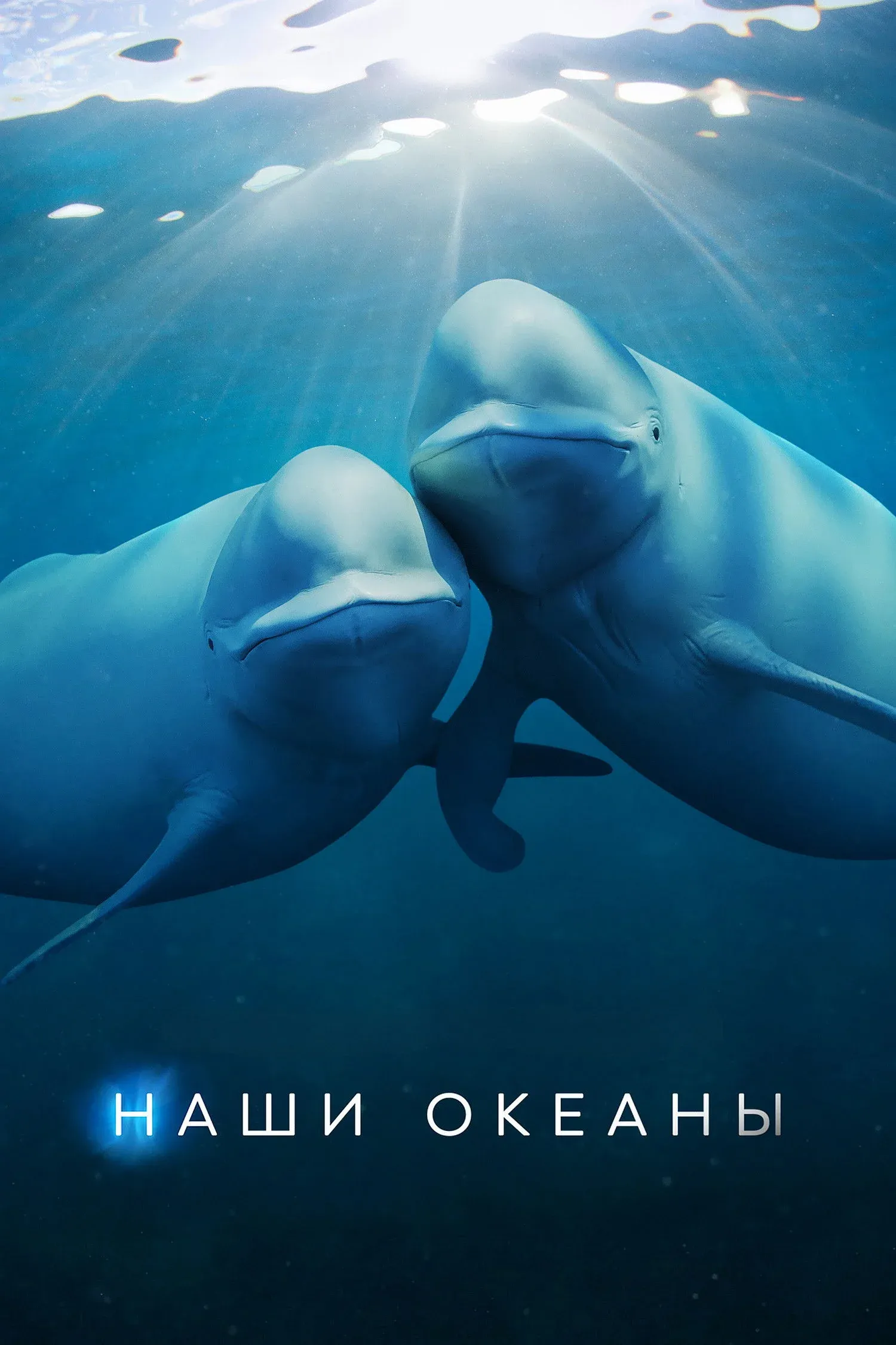 Постер фильма Наши океаны