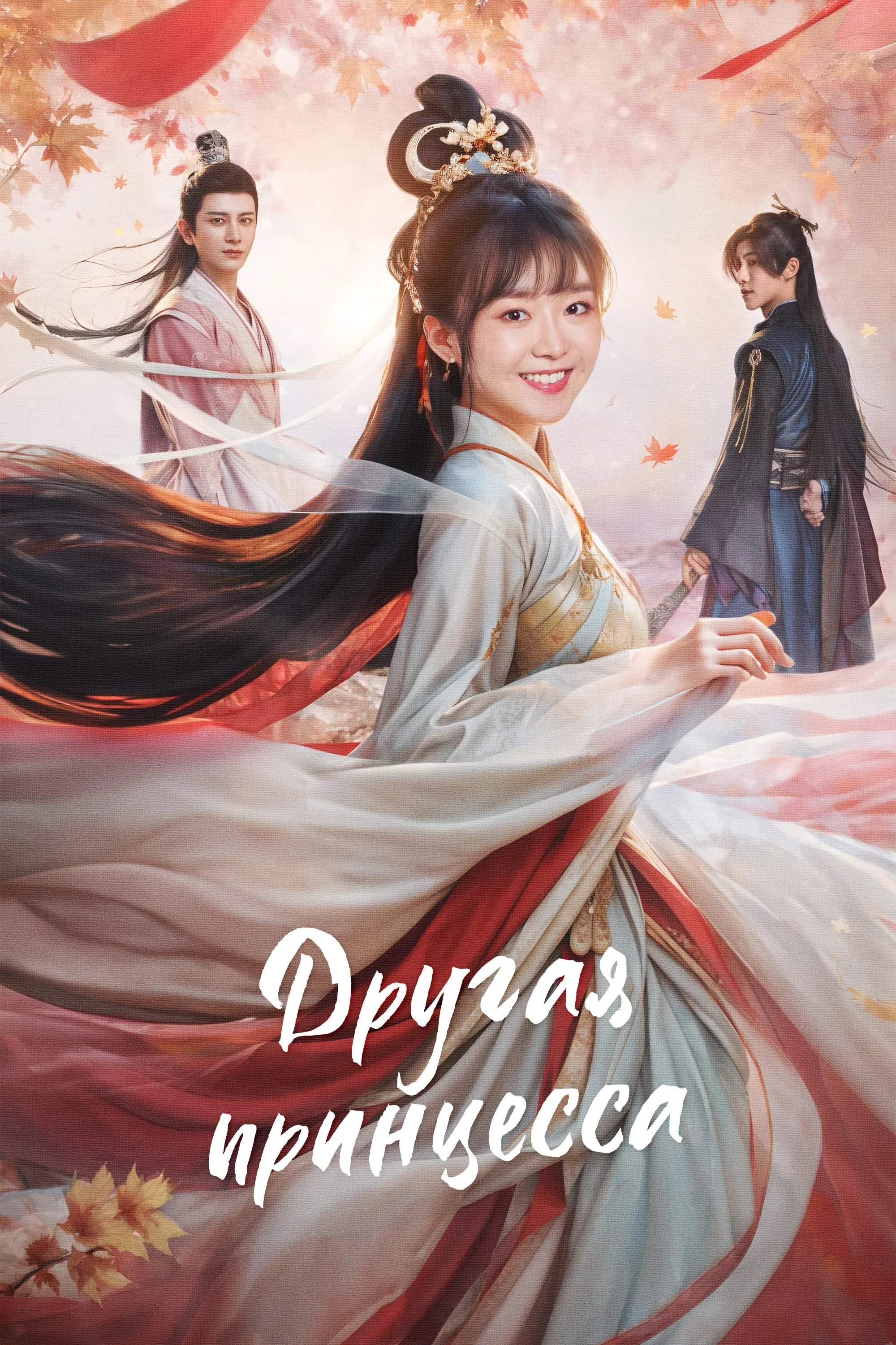 Постер фильма Другая принцесса