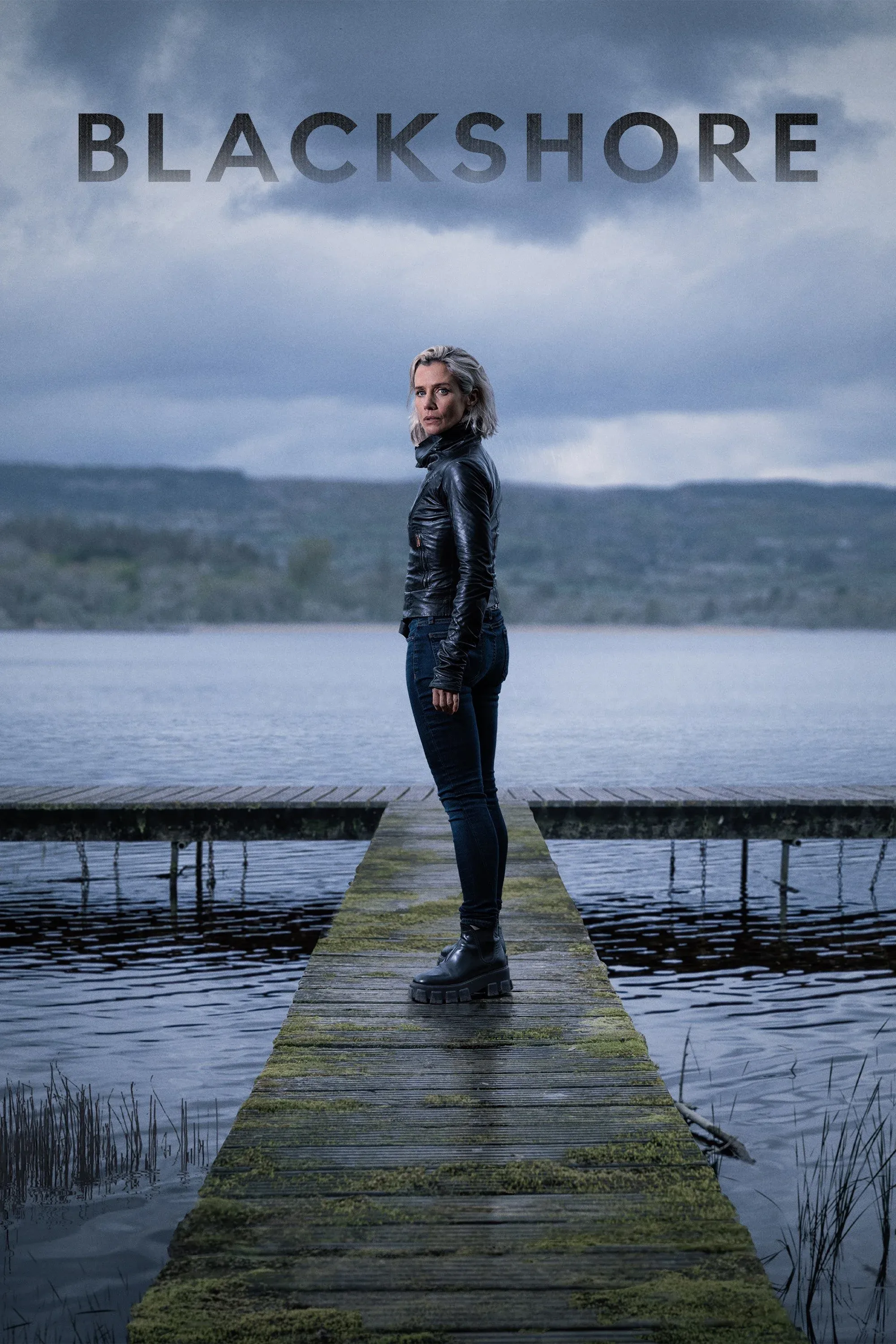 Постер фильма Чёрный берег