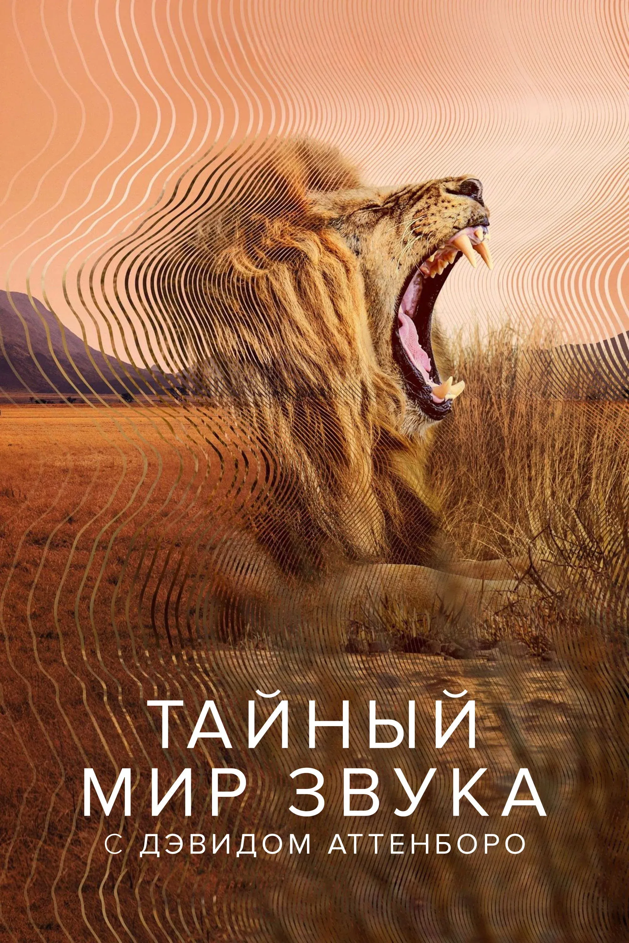 Постер фильма Тайный мир звука с Дэвидом Аттенборо