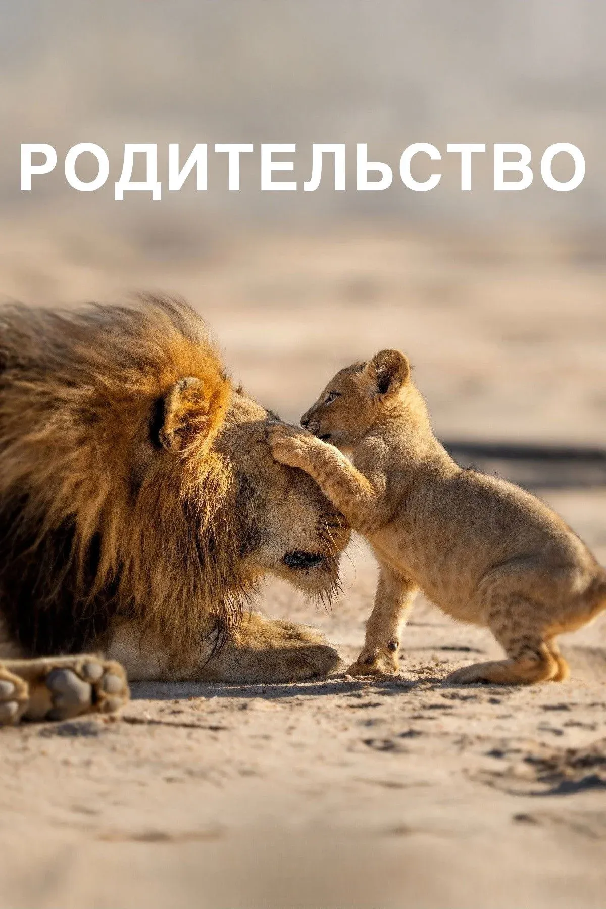 Постер фильма Родительство