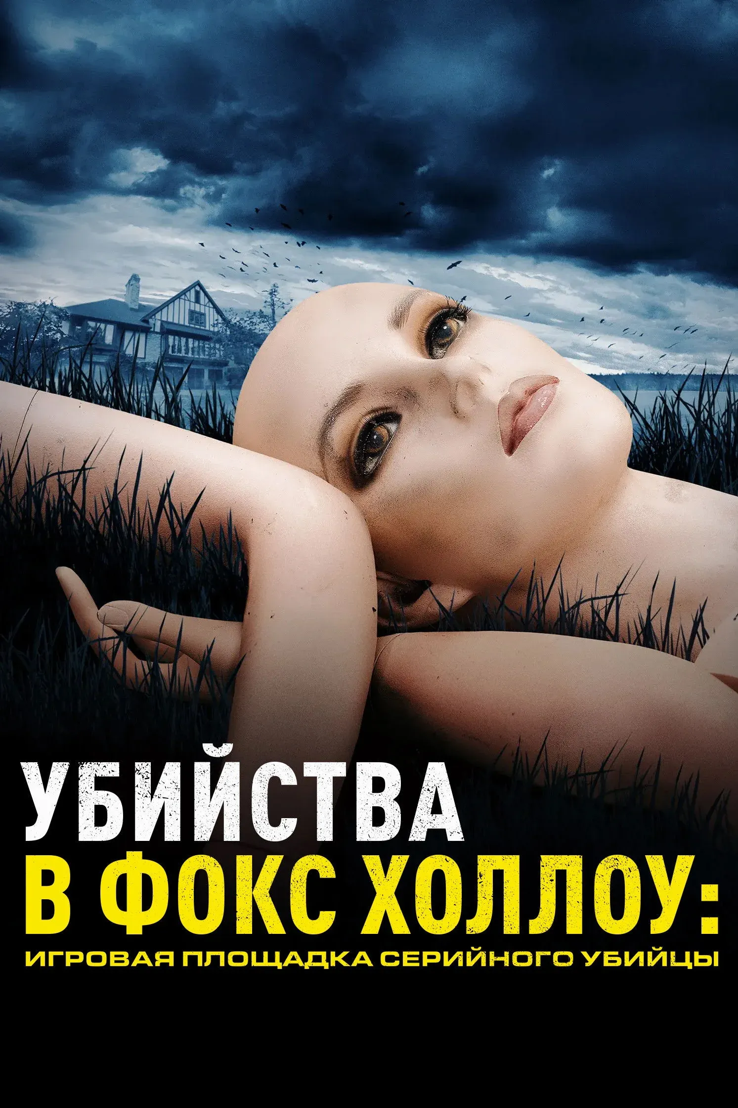 Постер фильма Убийства в Фокс Холлоу: Игровая площадка Серийного Убийцы