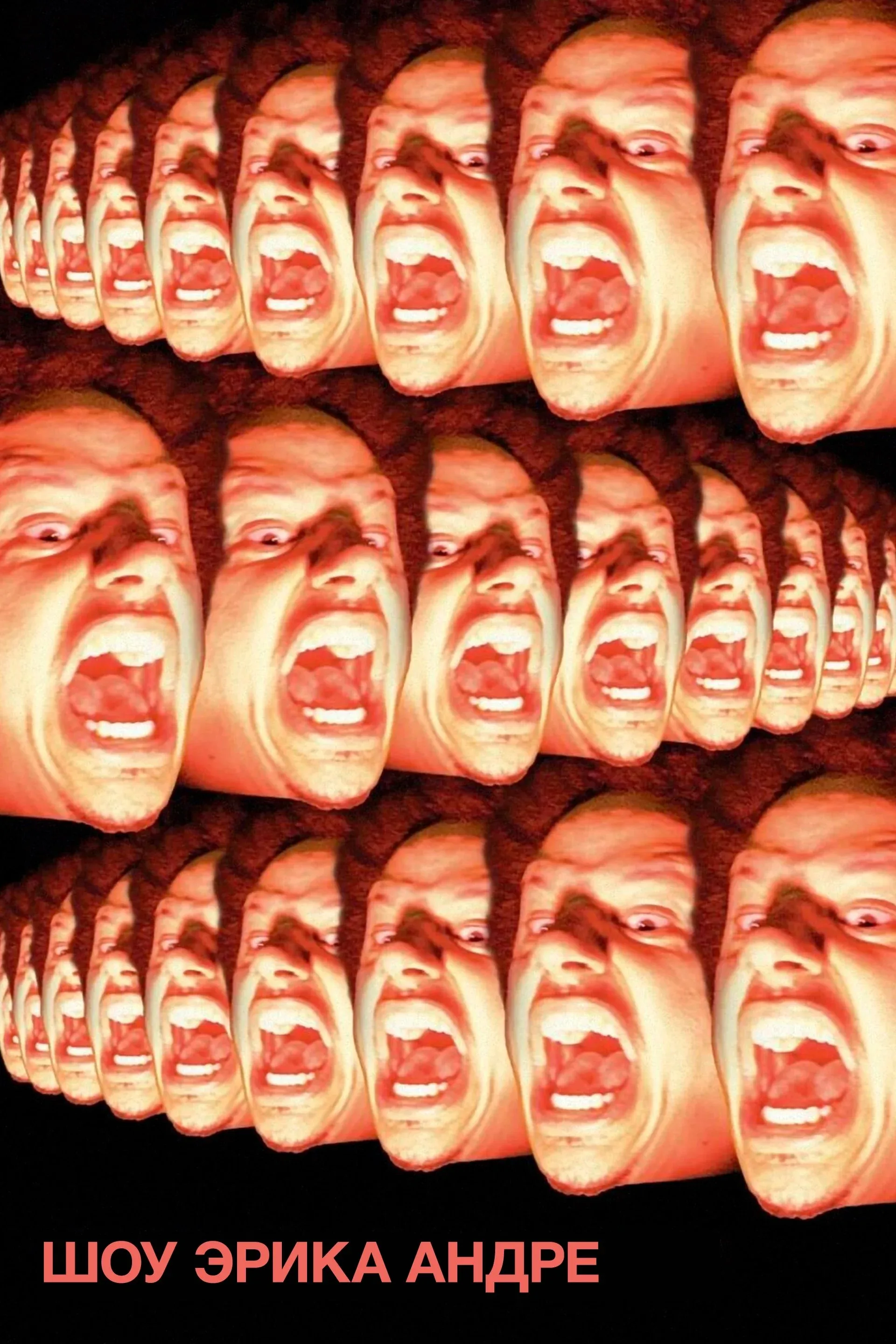 Постер фильма Шоу Эрика Андре
