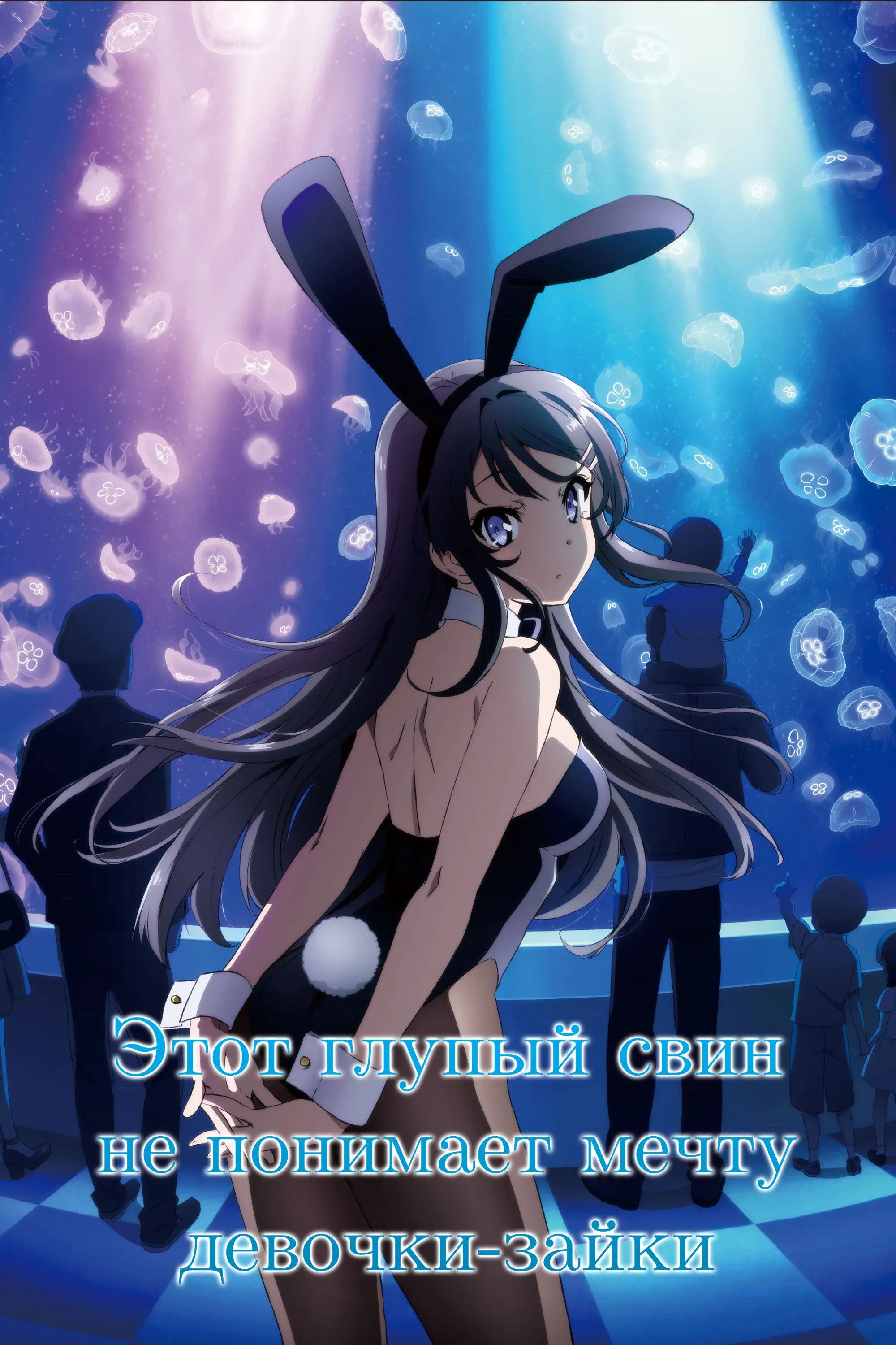 Постер фильма Этот глупый свин не понимает мечту девочки-зайки