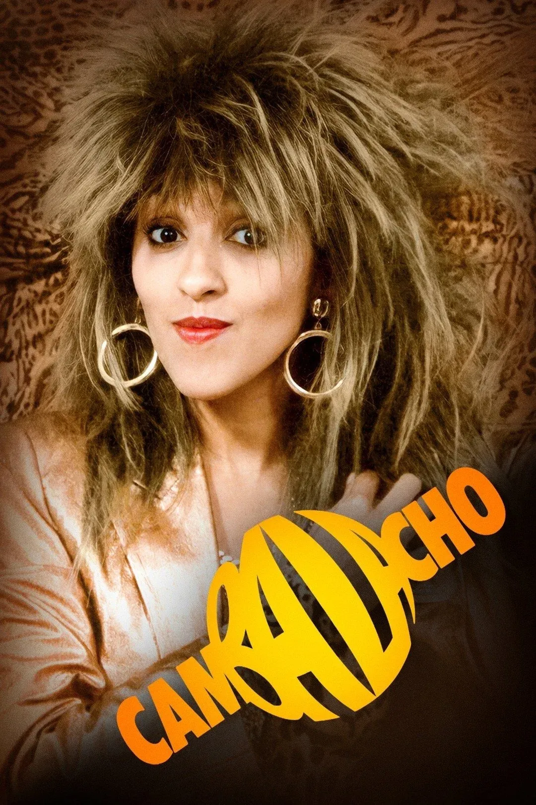 Постер фильма Мошенничество