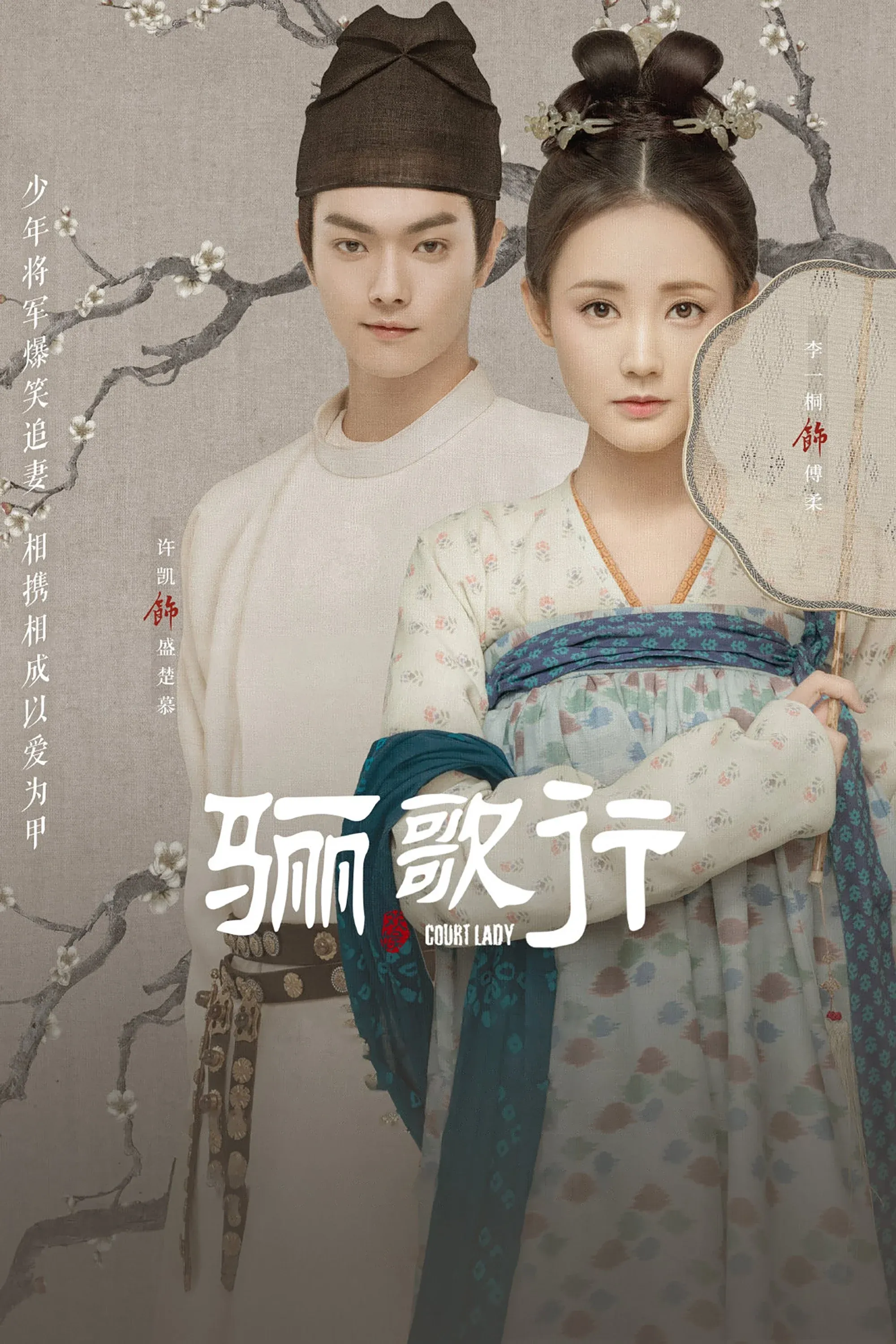 Постер фильма Придворная дама