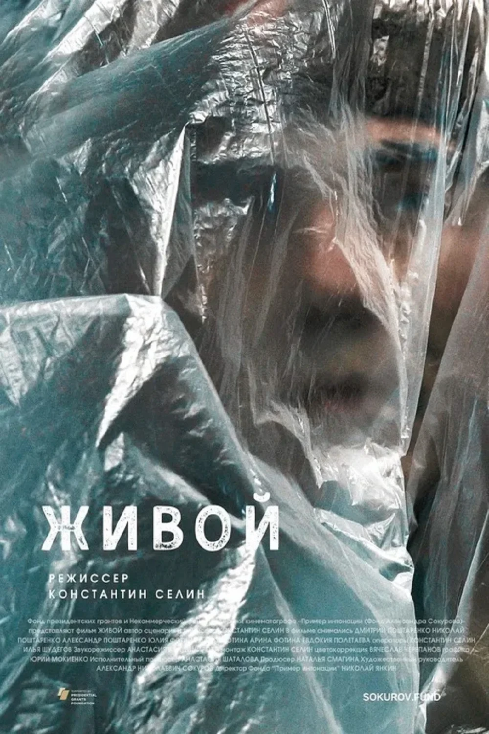 Постер фильма Живой