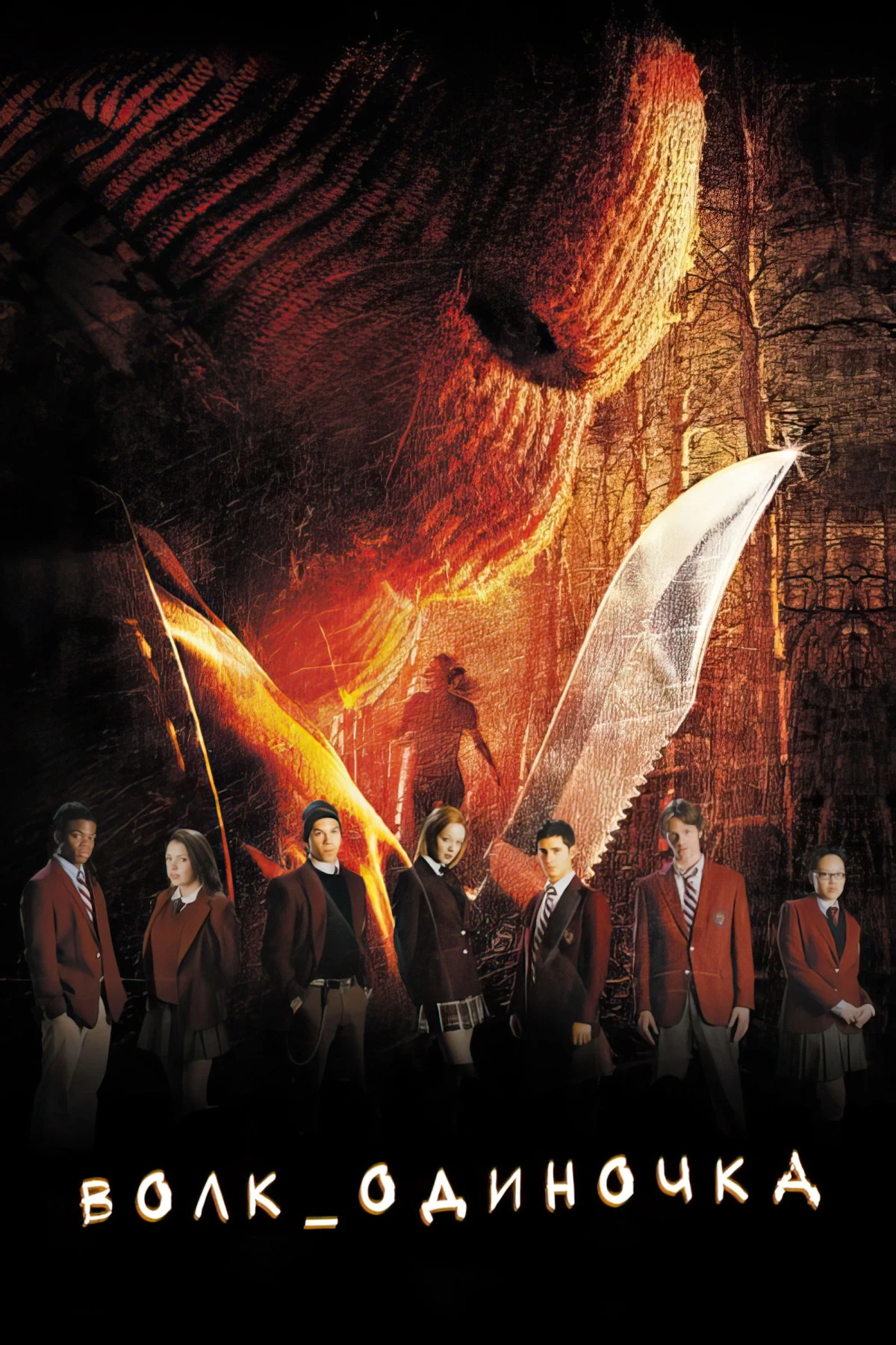 Постер фильма Волк одиночка