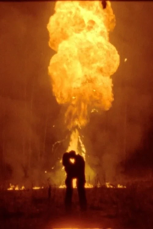 Постер фильма Дан Вирлан