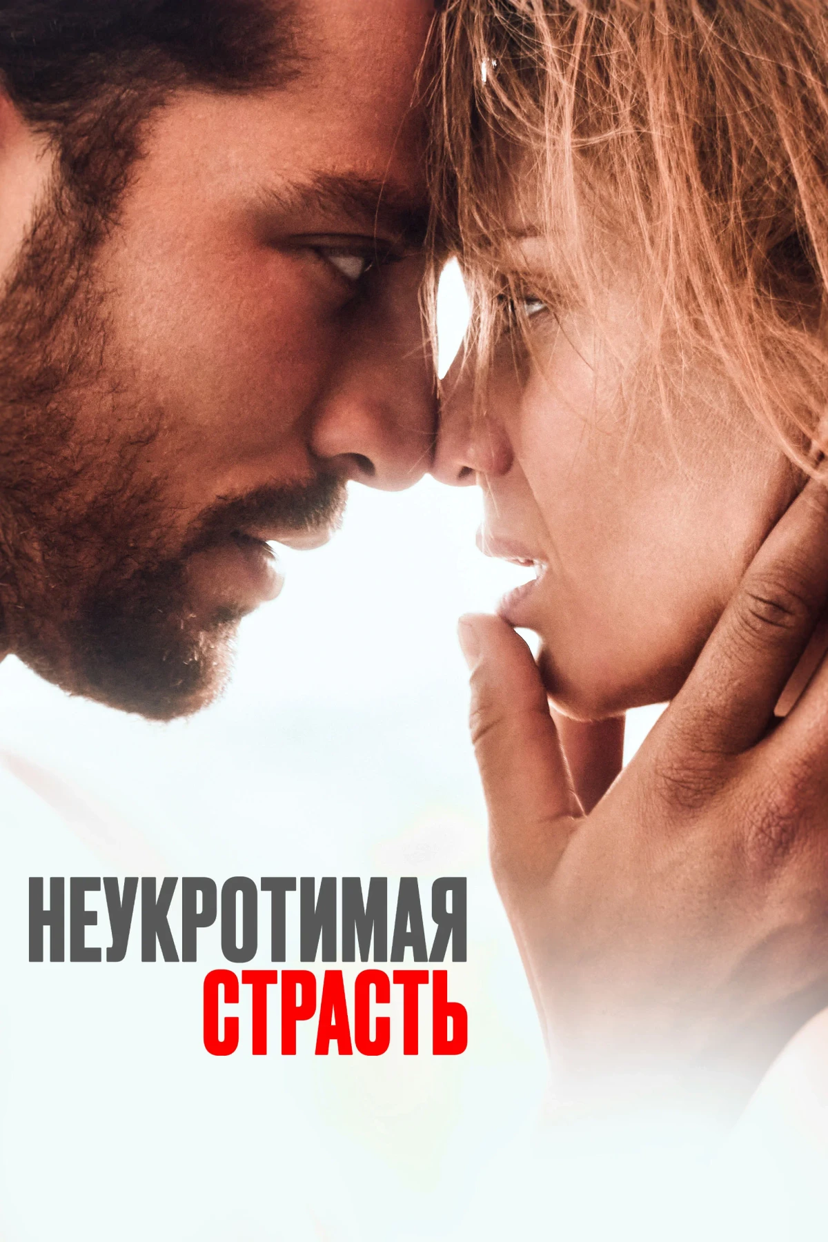 Постер фильма Неукротимая страсть