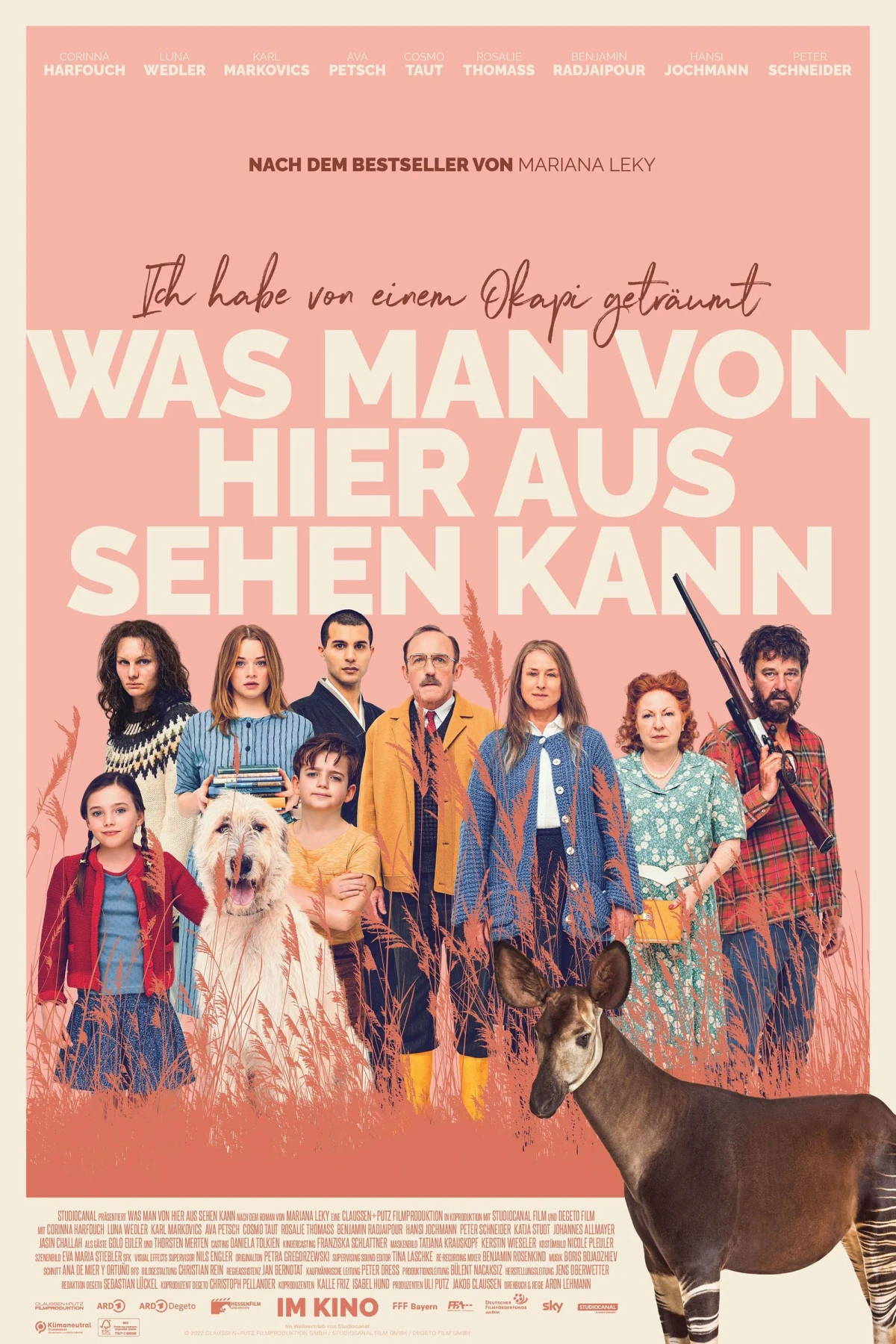 Постер фильма Что видно отсюда