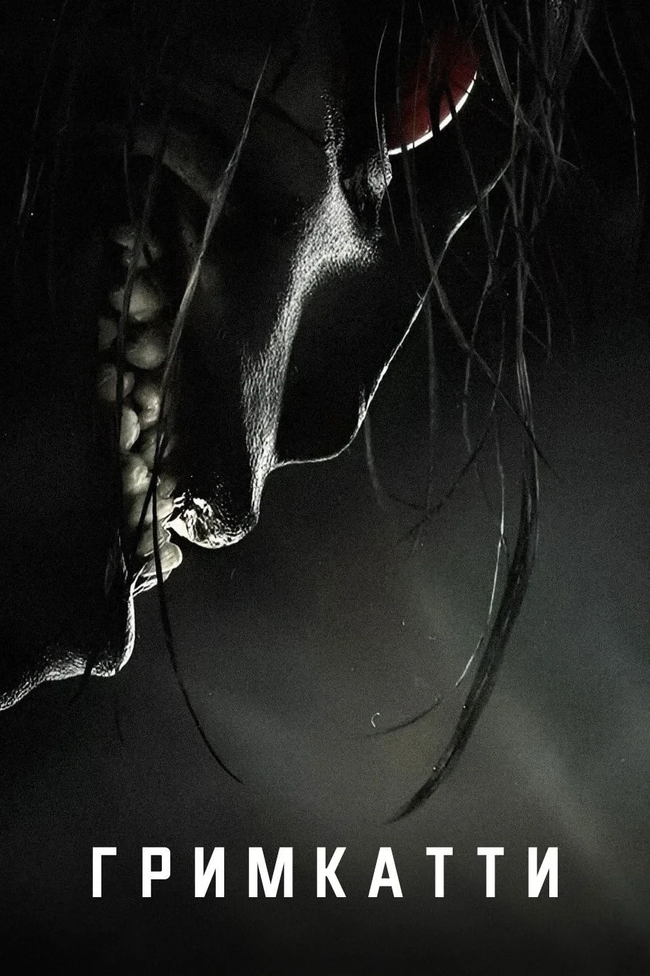 Постер фильма Гримкатти