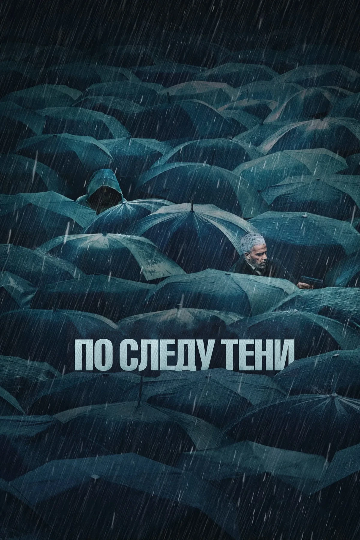 Постер фильма По следу тени