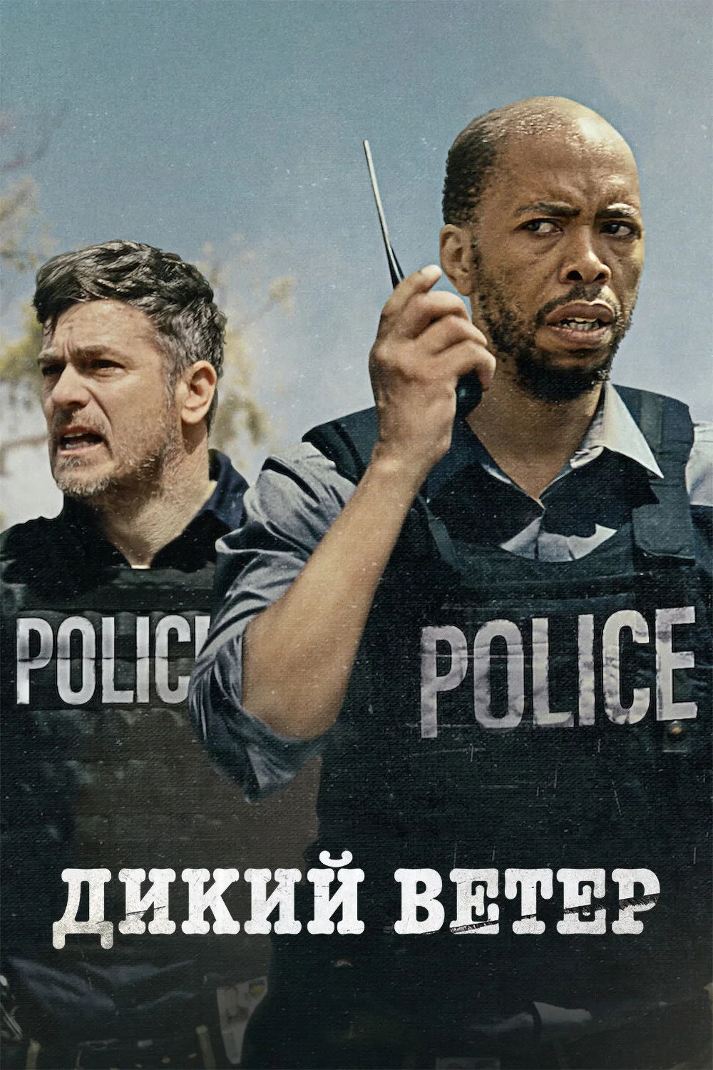 Постер фильма Дикий ветер