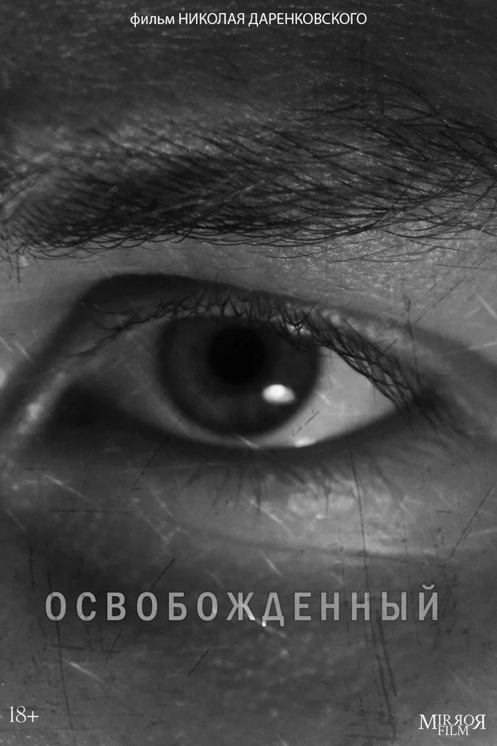 Постер фильма Освобожденный