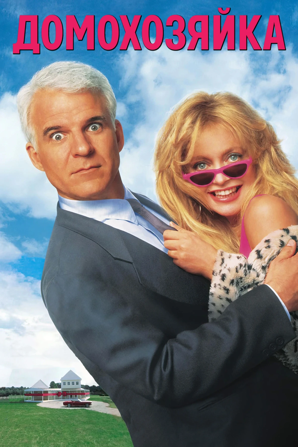 Постер фильма Домохозяйка
