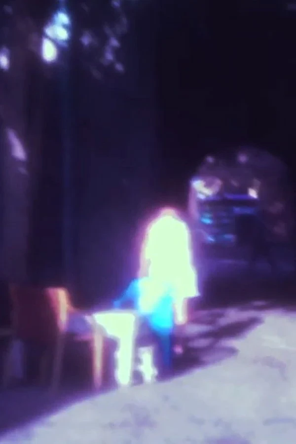 Постер фильма это тело птицы