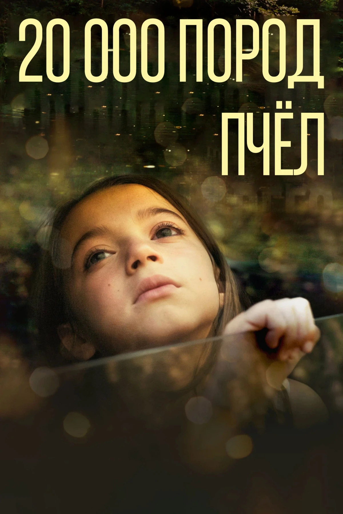 Постер фильма 20 тысяч пород пчёл