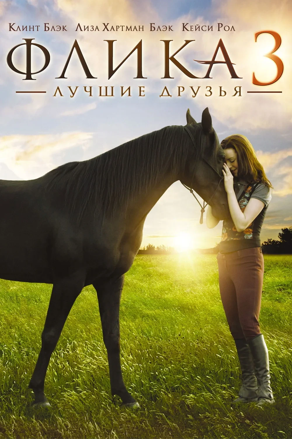 Постер фильма Флика 3