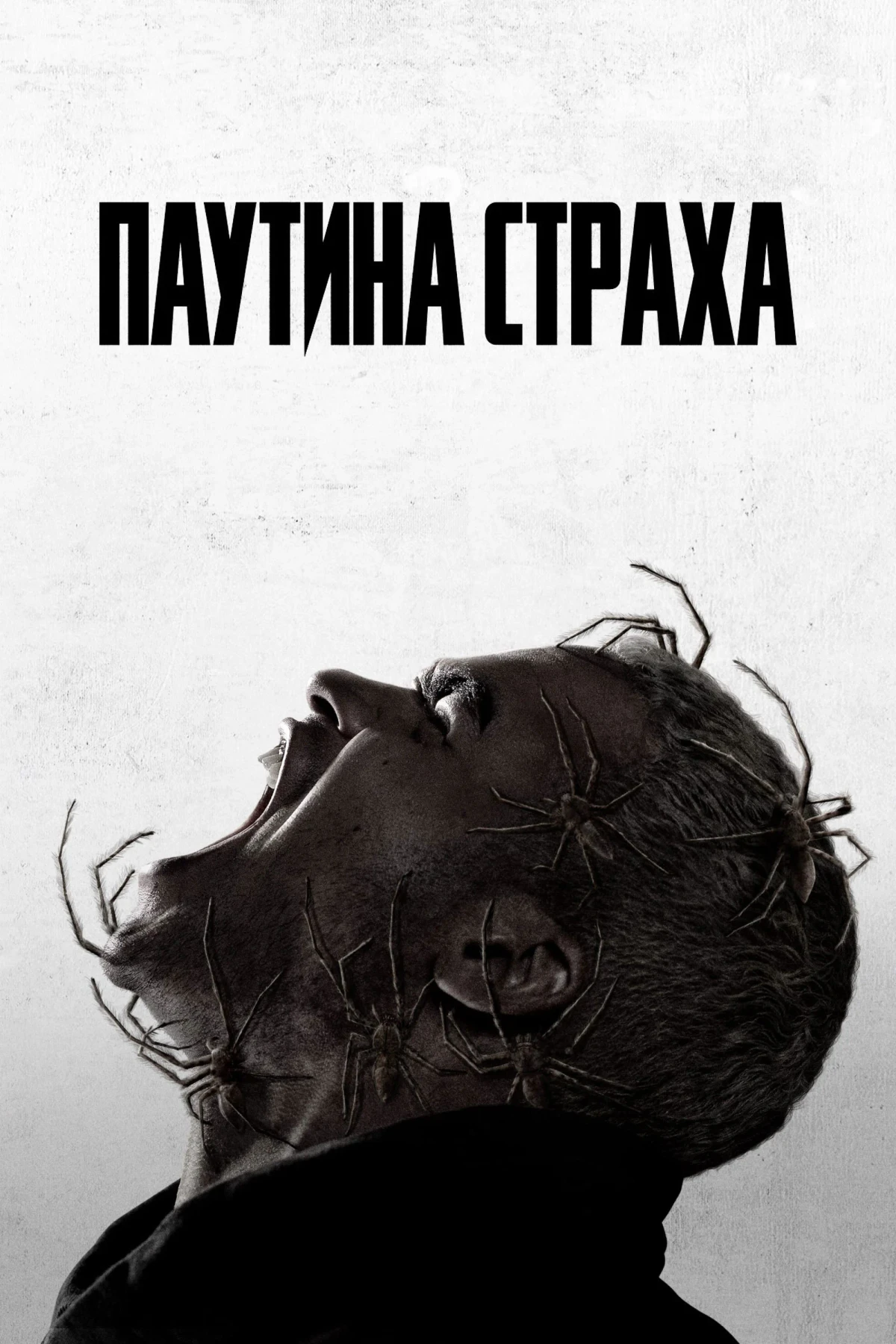 Постер фильма Паутина страха