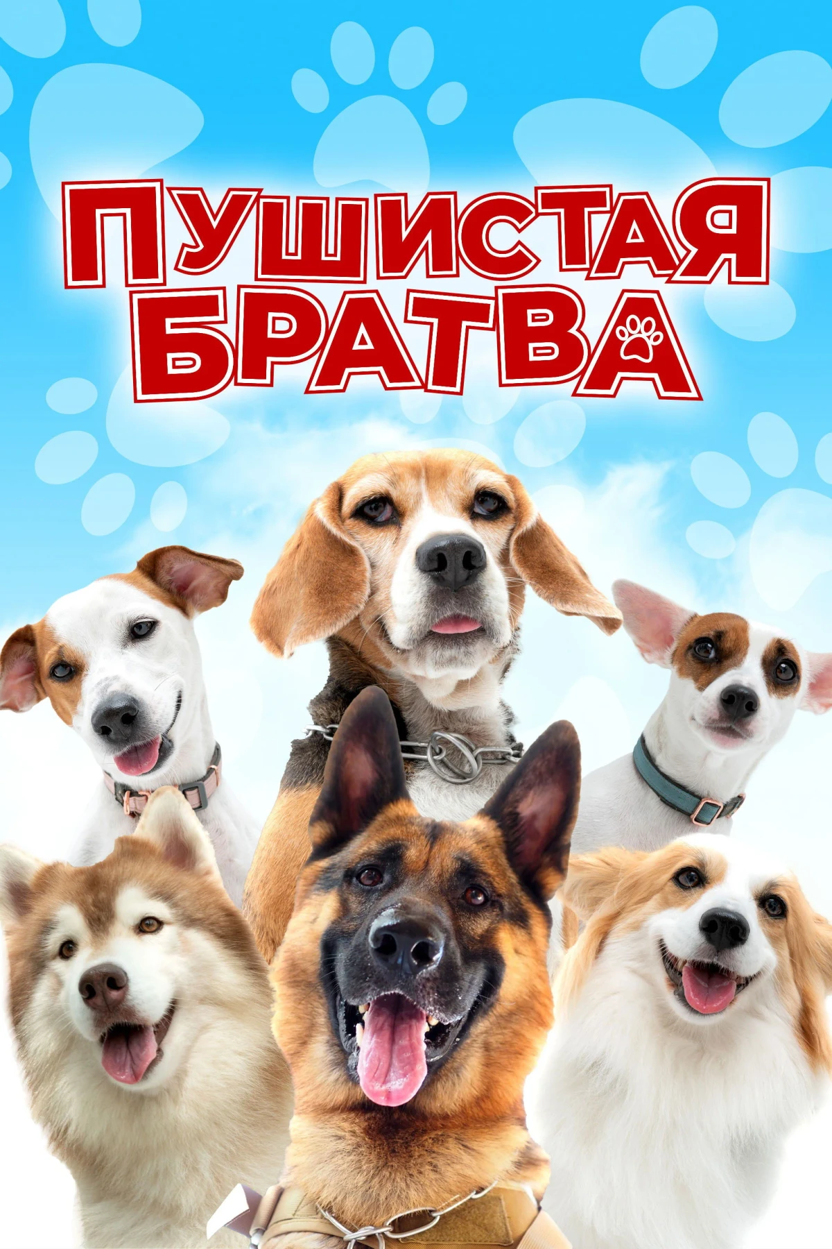 Постер фильма Пушистая братва