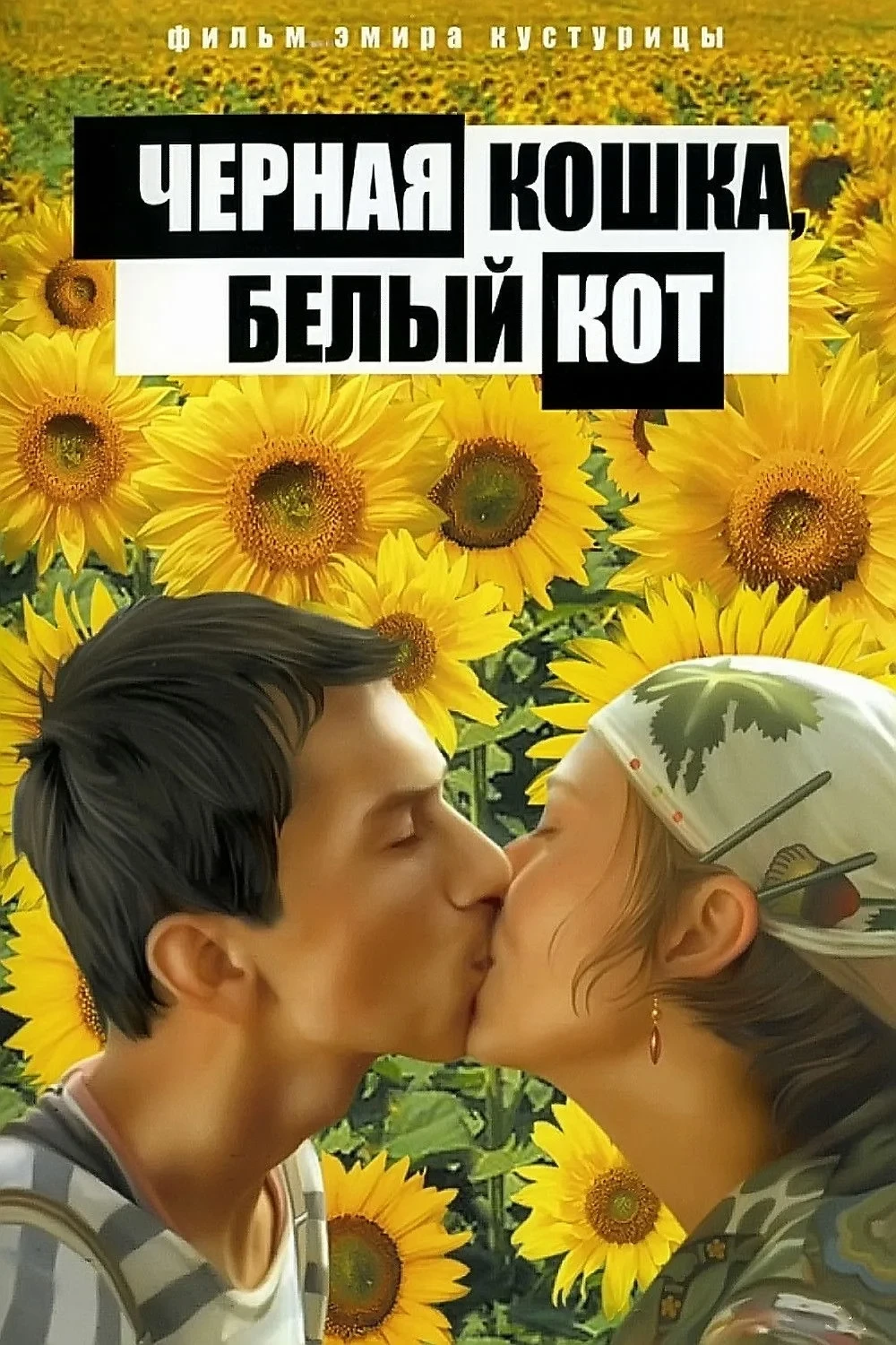 Постер фильма Чёрная кошка, белый кот