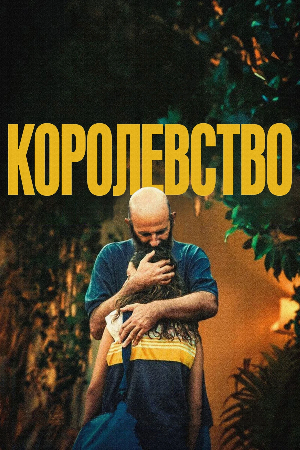 Постер фильма Королевство