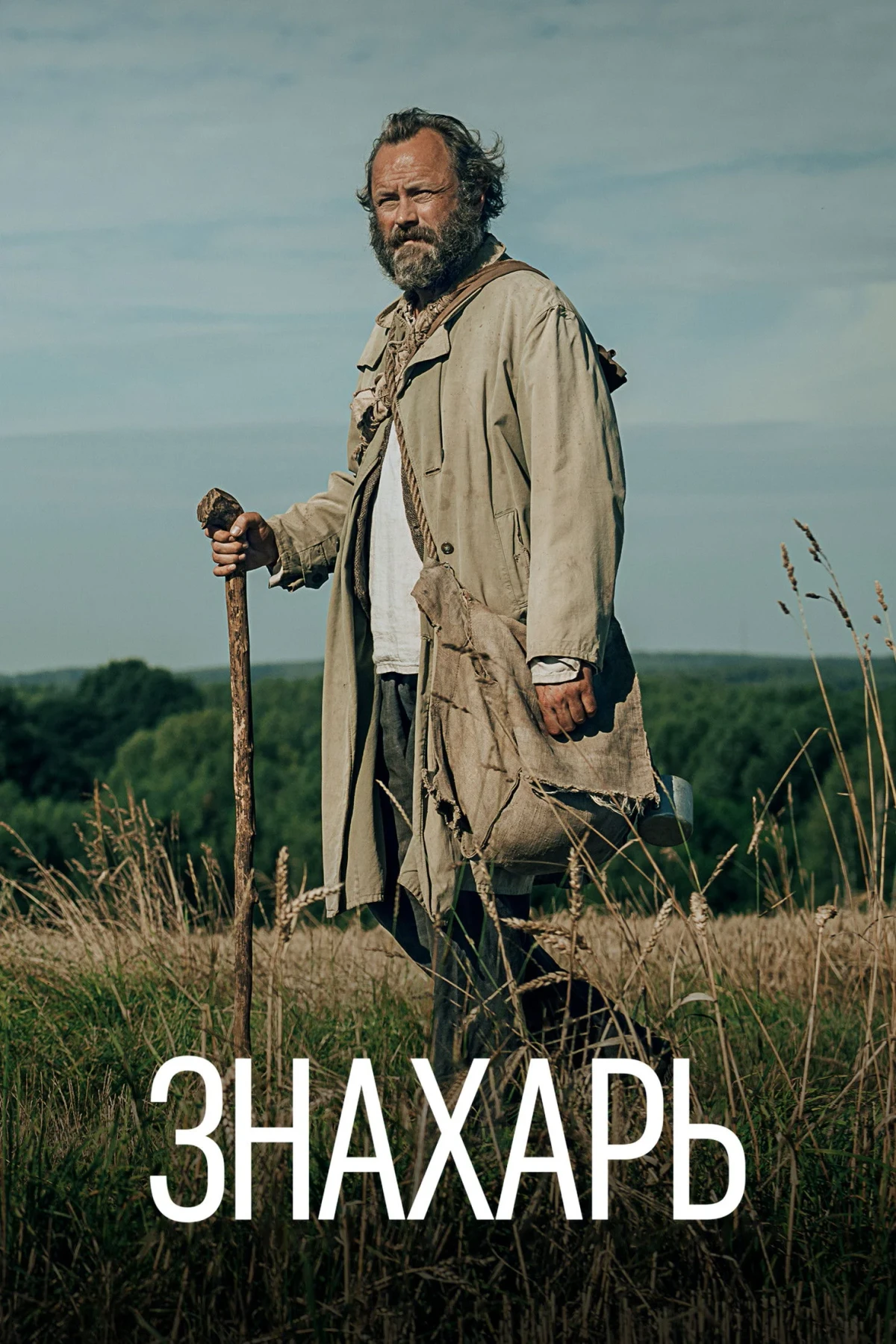 Постер фильма Знахарь