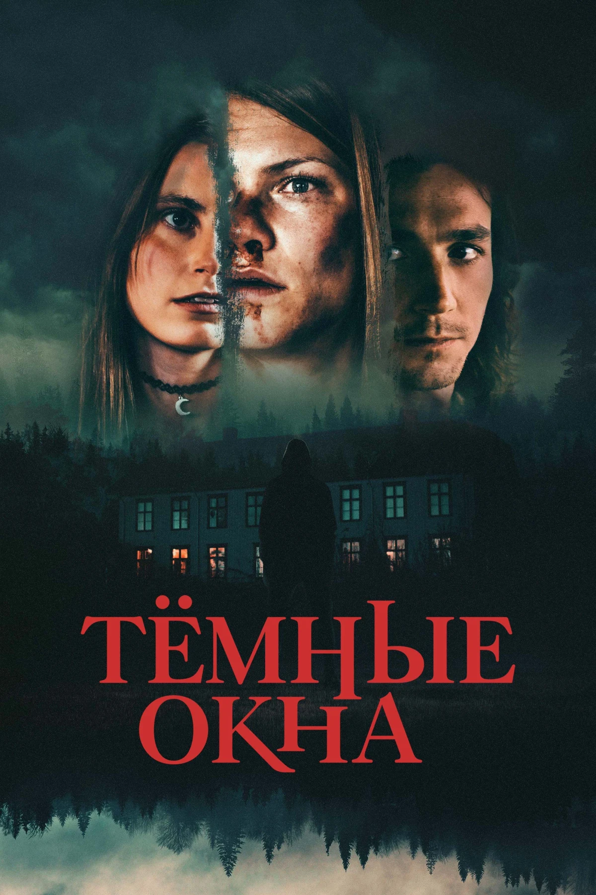 Постер фильма Тёмные окна