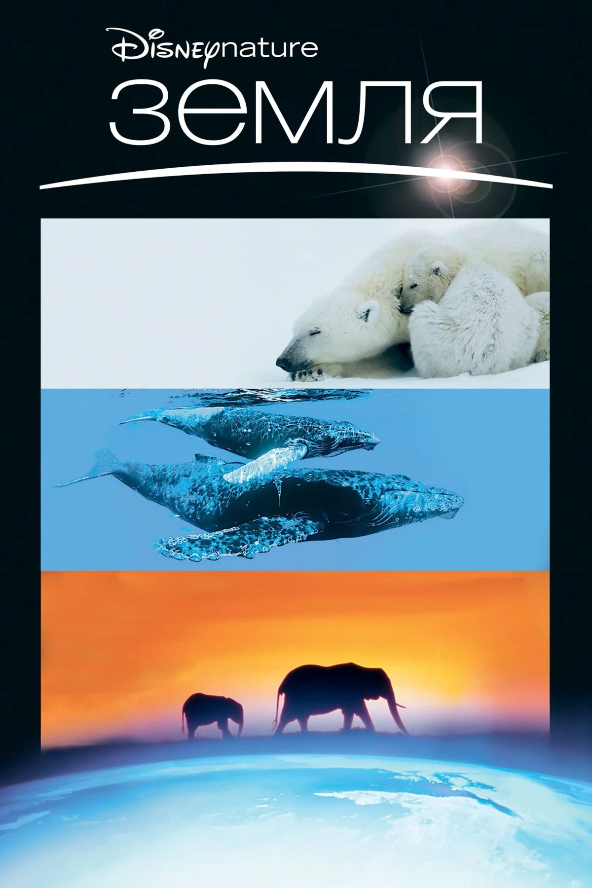 Постер фильма Земля