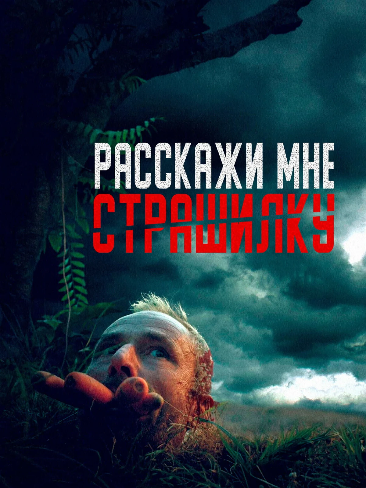 Постер фильма Расскажи мне страшилку