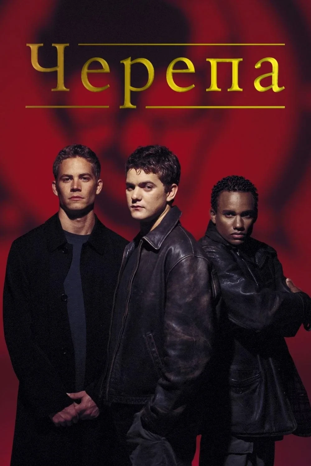 Постер фильма Черепа