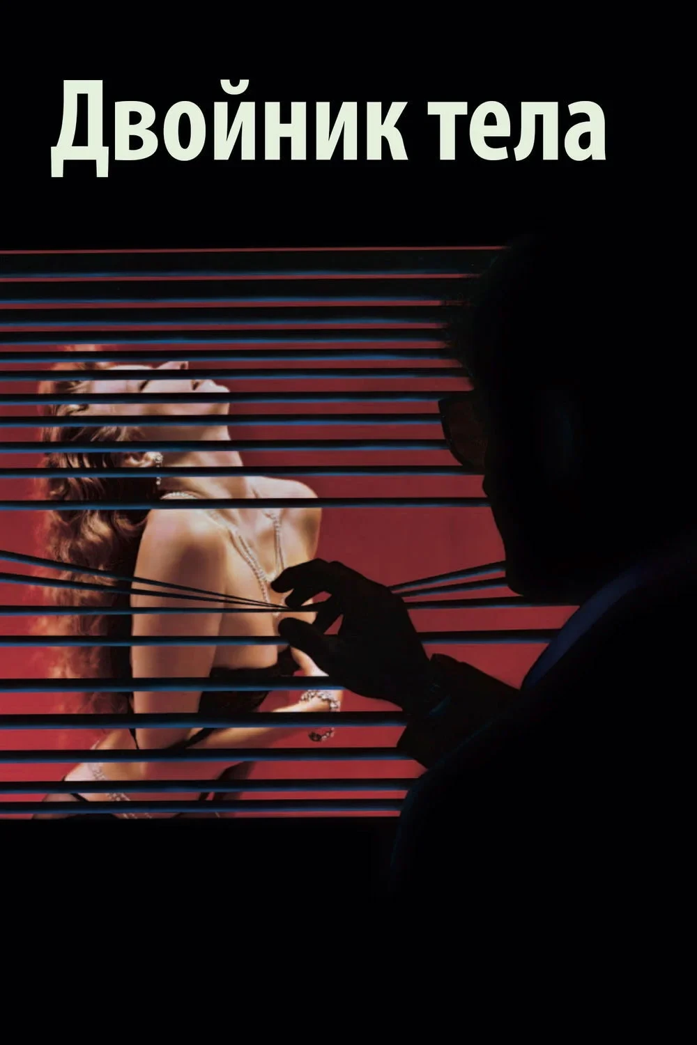 Постер фильма Подставное тело