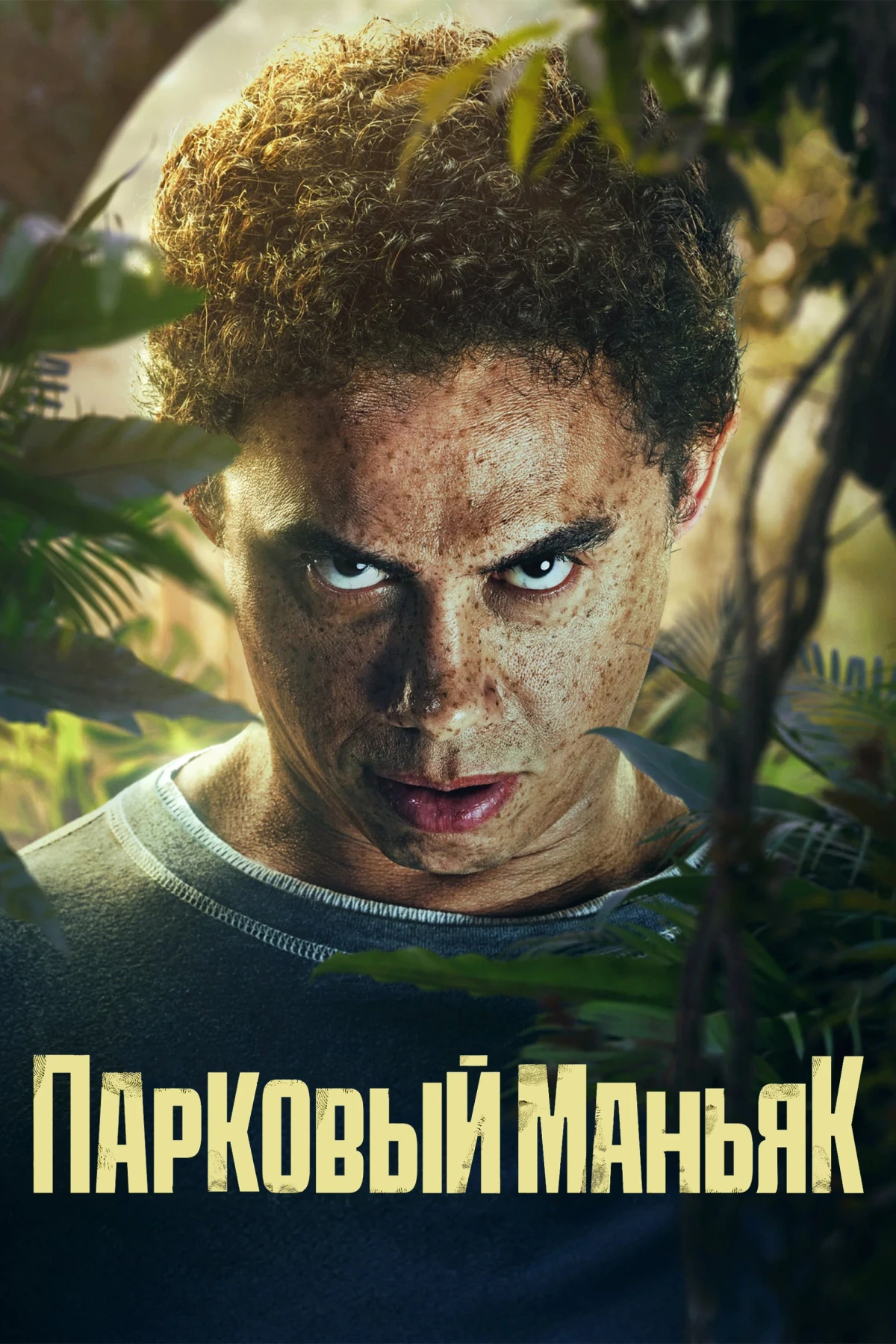 Постер фильма Парковый маньяк