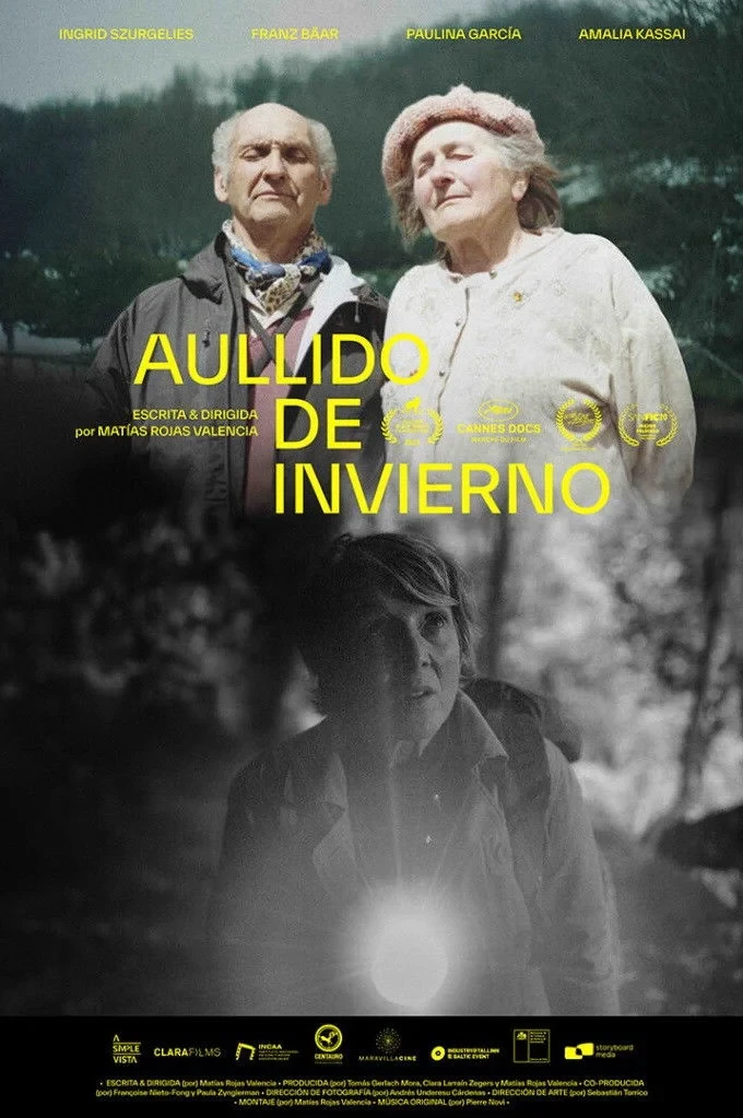 Постер фильма Зимний вой