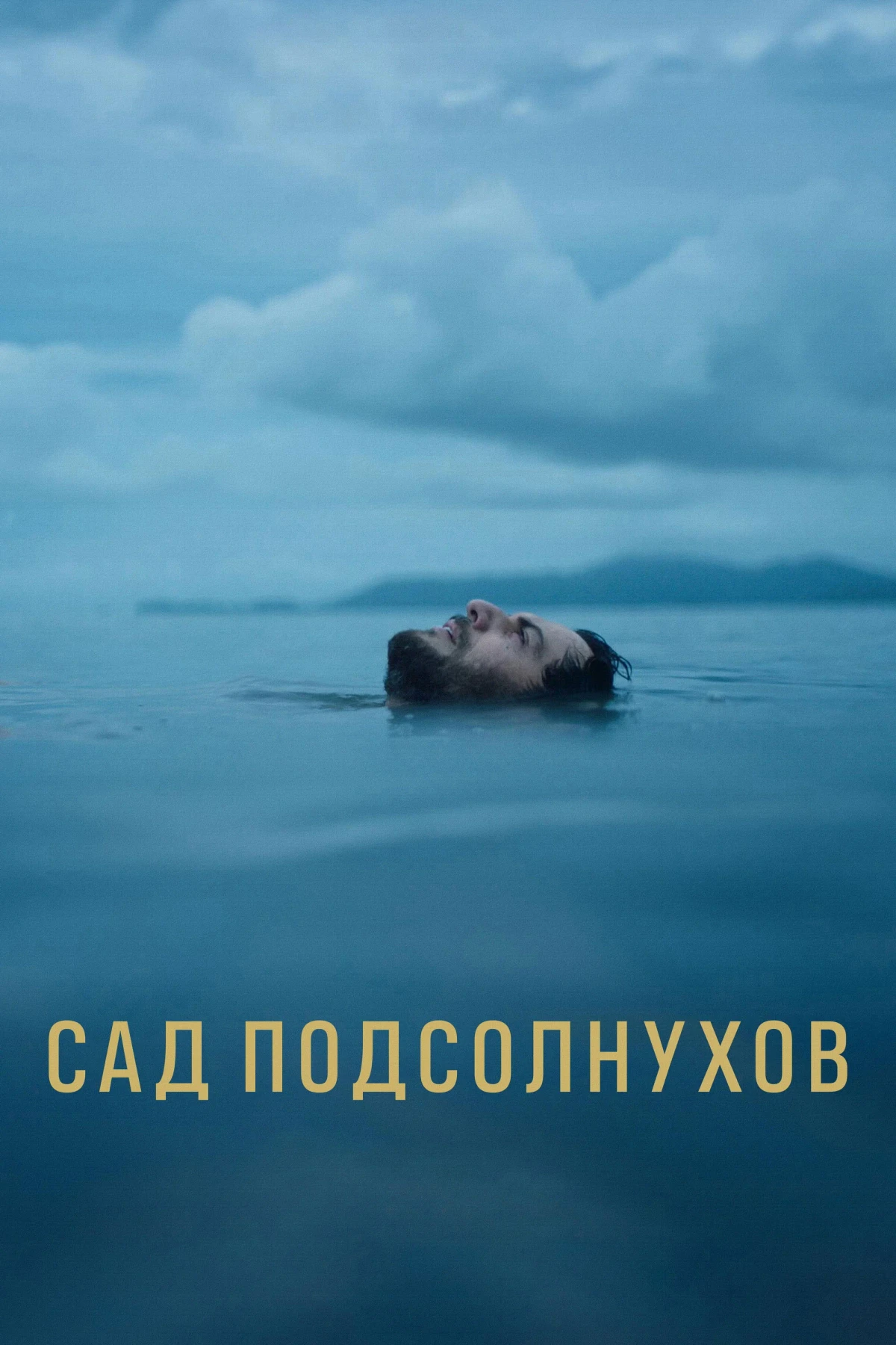 Постер фильма Сад подсолнухов