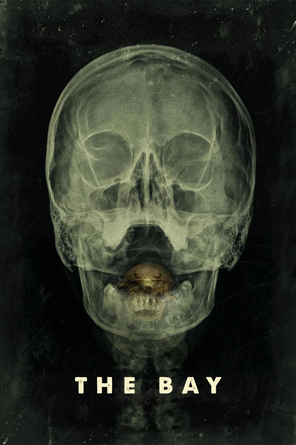 Постер фильма Залив