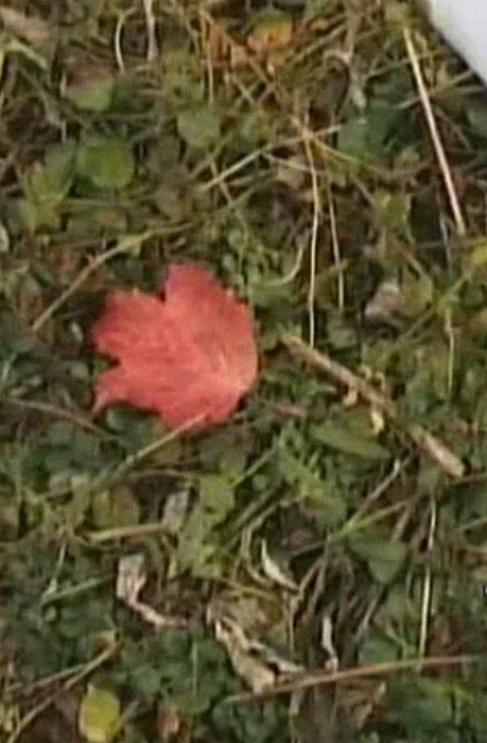 Постер фильма Прощание