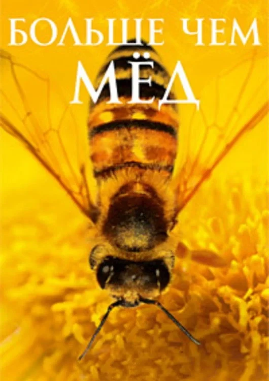Постер фильма Больше, чем мёд