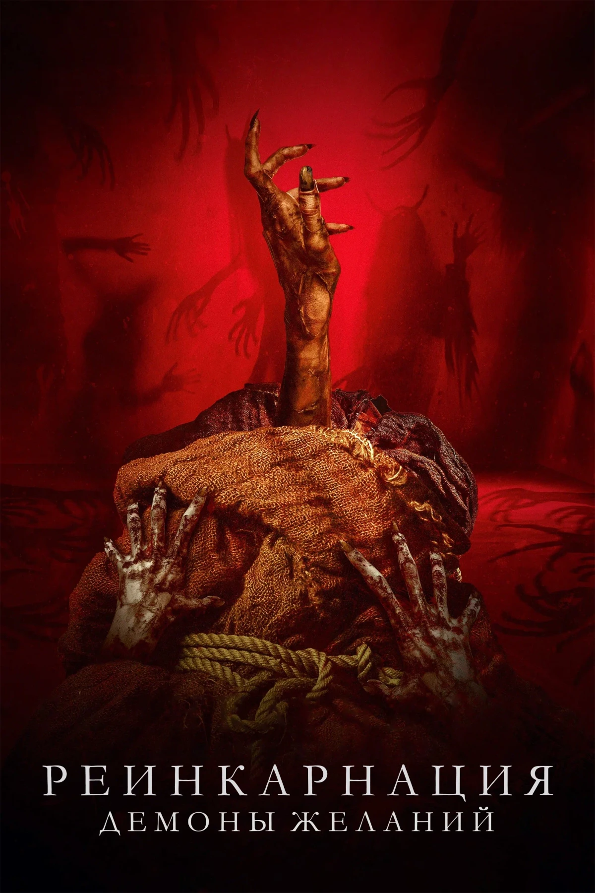Постер фильма Реинкарнация. Демоны желаний
