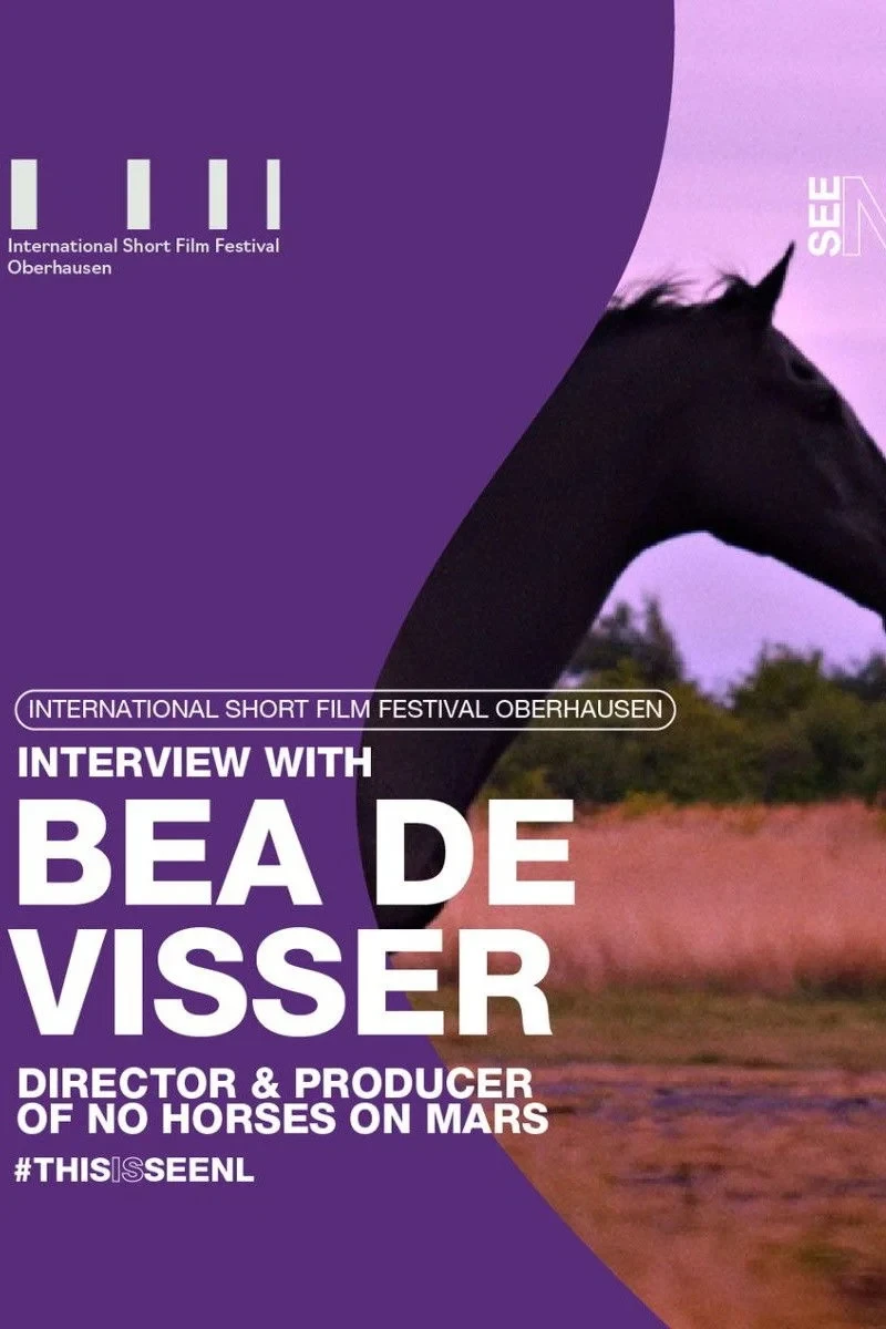 Постер фильма Нет лошадей на Марсе