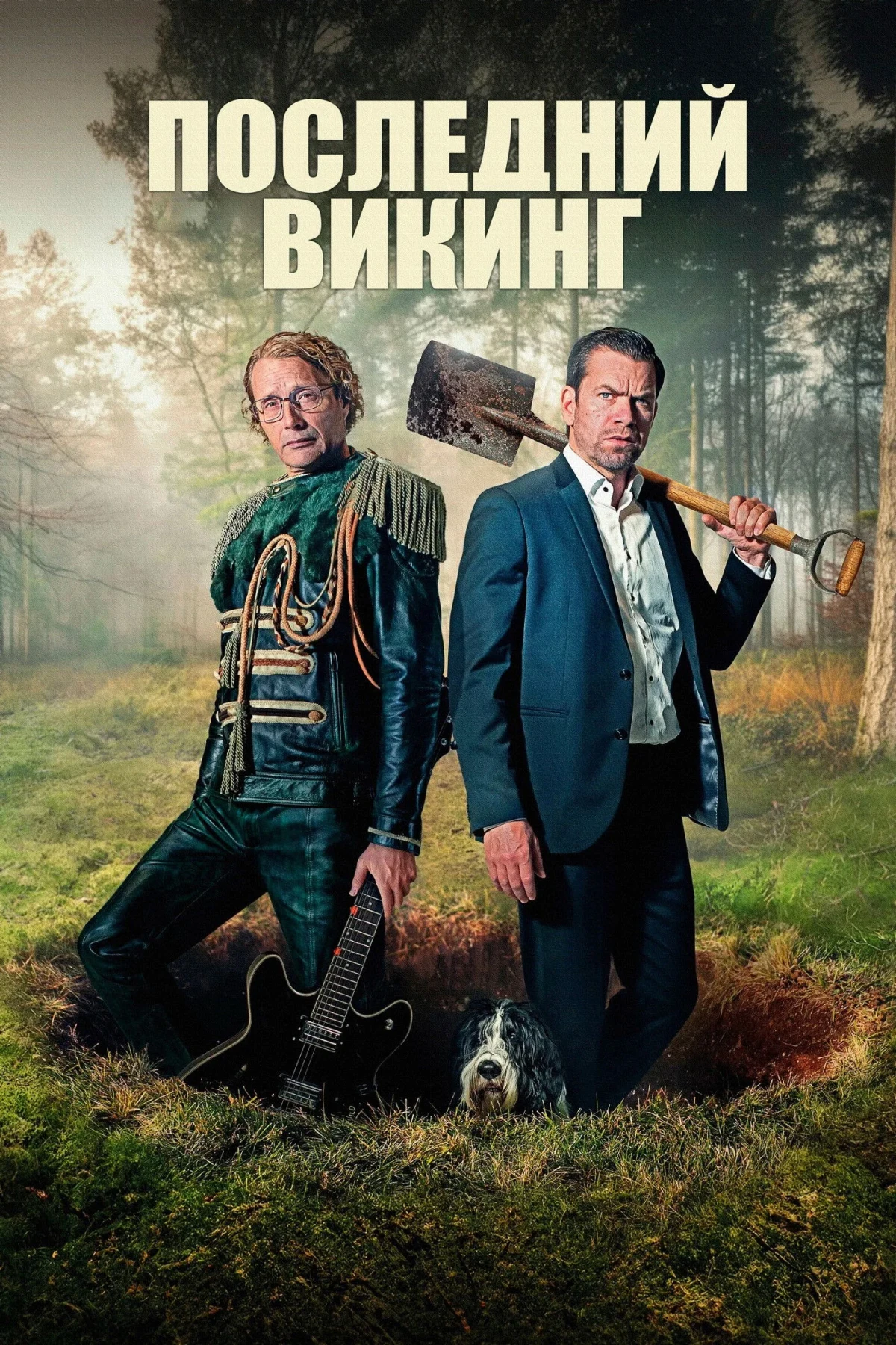 Постер фильма Последний викинг