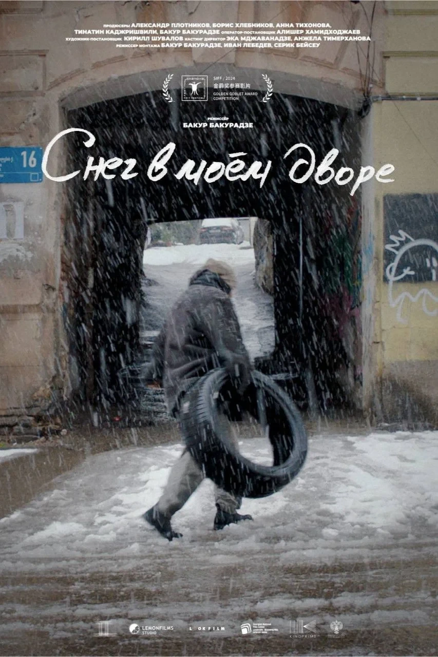 Постер фильма Снег в моем дворе