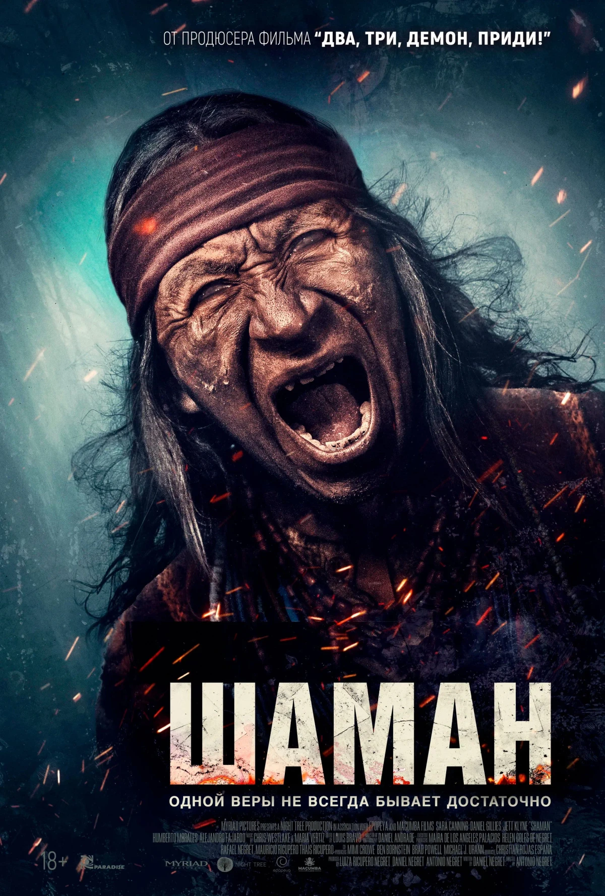 Постер фильма Шаман