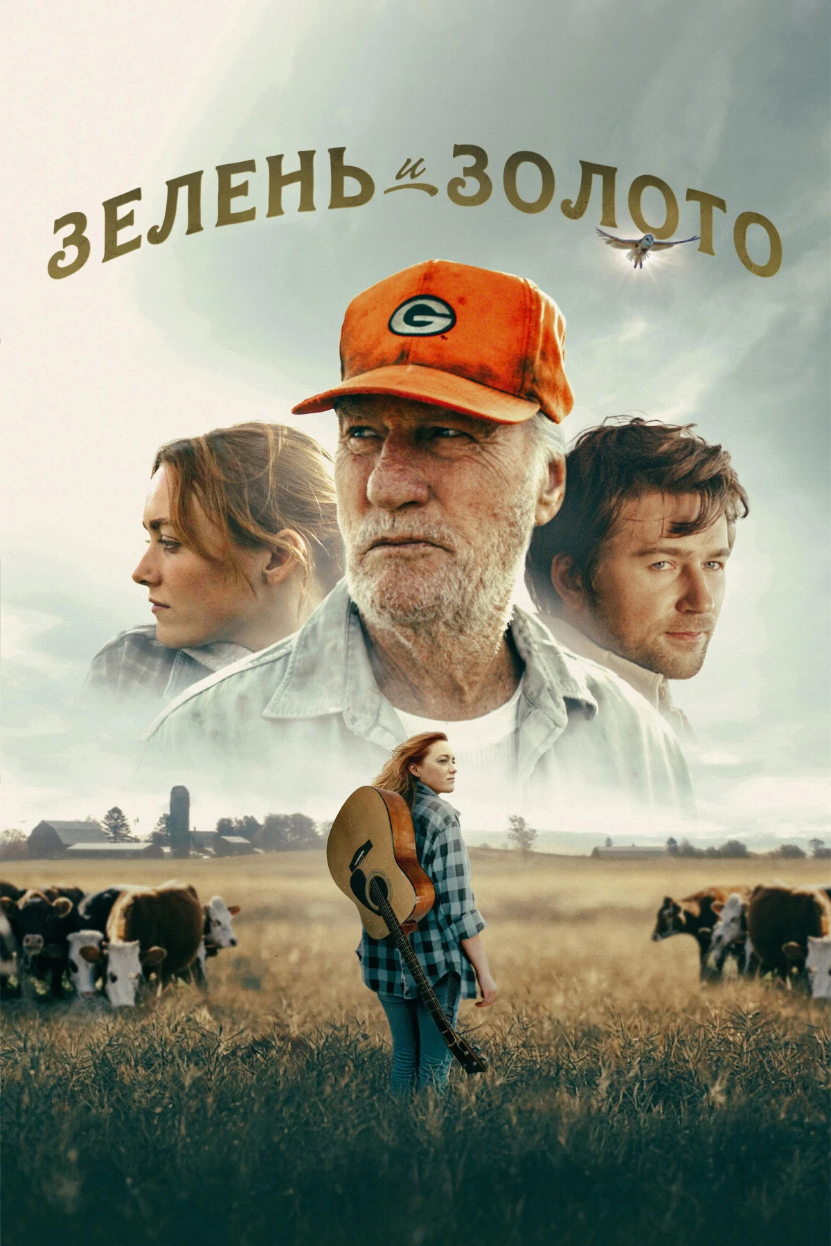 Постер фильма Зелень и золото