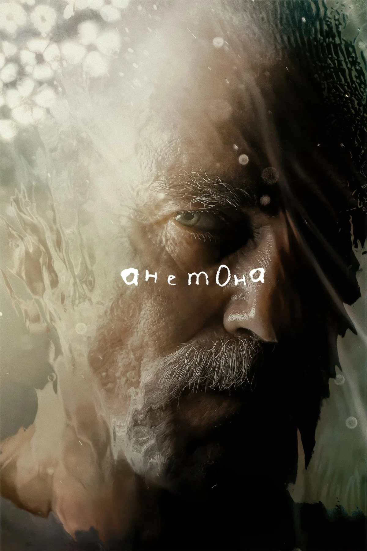 Постер фильма Анемона