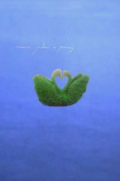 Постер фильма Текст заявки к фильму