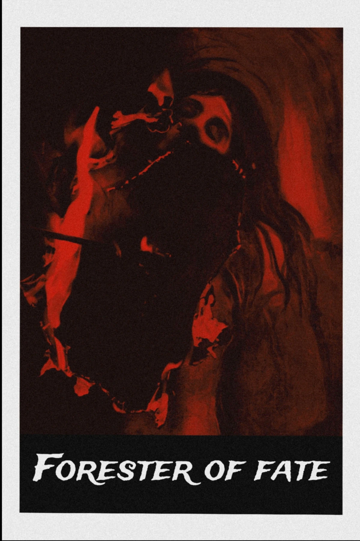 Постер фильма Лесник судьбы